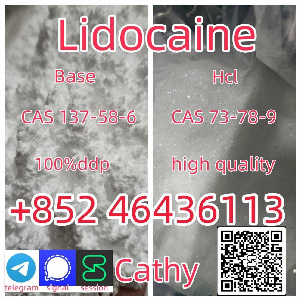 CAS 137-58-6 Lidocaine high quality good price Add +852 46436113