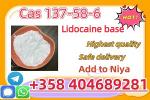 CAS137-58-6 Lidocaine C14H22N2O safe fast delivery