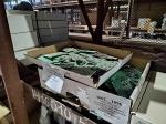 Невостребованные сетевые электронные компоненты