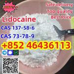 CAS137-58-6 Lidocaine C14H22N2O safe fast delivery Add +852 46436113