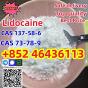 CAS137-58-6 Lidocaine C14H22N2O safe fast delivery Add +852 46436113