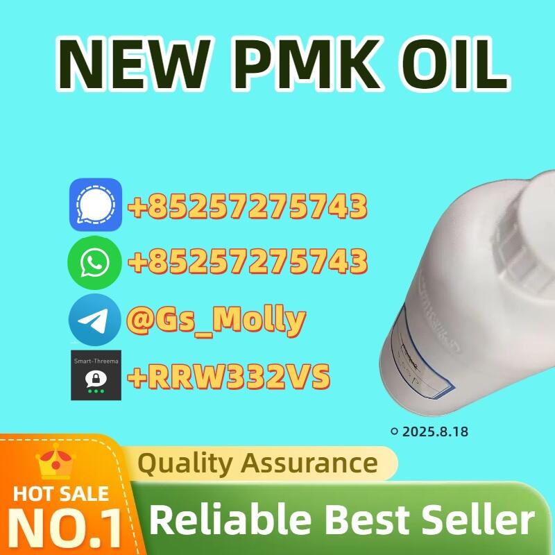 PMK Oil CAS 28578-16-7 High Purity 99% Trusted Source