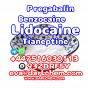 Lidocaine Tianeptine pregabalin raw Powder 137-58-6 China Factory