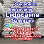 Lidocaine Tianeptine pregabalin raw Powder 137-58-6 Factory Price