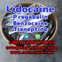Lidocaine Tianeptine pregabalin raw Powder 137-58-6 Good Price