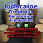 Lidocaine Tianeptine pregabalin raw Powder 137-58-6 Good Price