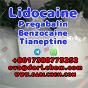 Lidocaine Tianeptine pregabalin raw Powder 137-58-6 China Factory