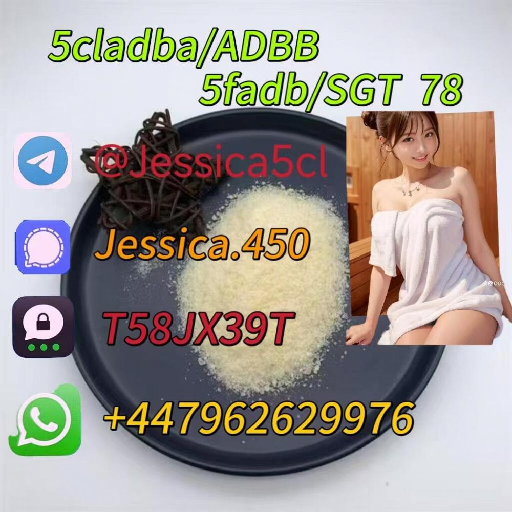 jessica