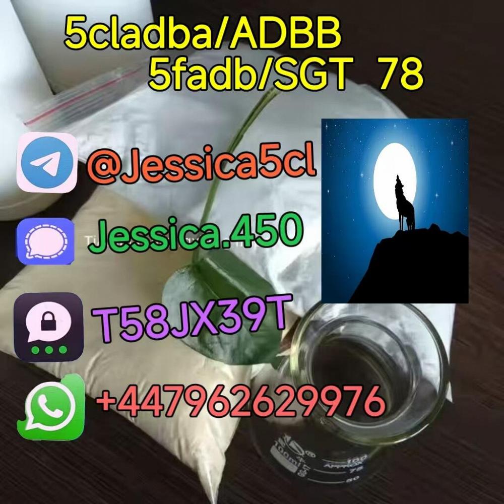 jessica