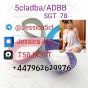 5F-ADB ADBB 5cladb precursor A-PVP 5cl r