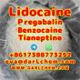 Lidocaine Tianeptine pregabalin raw Powder 137-58-6 Good Price