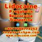 Lidocaine Tianeptine pregabalin raw Powder 137-58-6 Factory