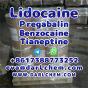 Lidocaine Tianeptine pregabalin raw Powder 137-58-6 Top Quality