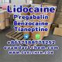 Lidocaine Tianeptine pregabalin raw Powder 137-58-6 Top Quality