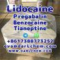 Lidocaine Tianeptine pregabalin raw Powder 137-58-6 Top Quality