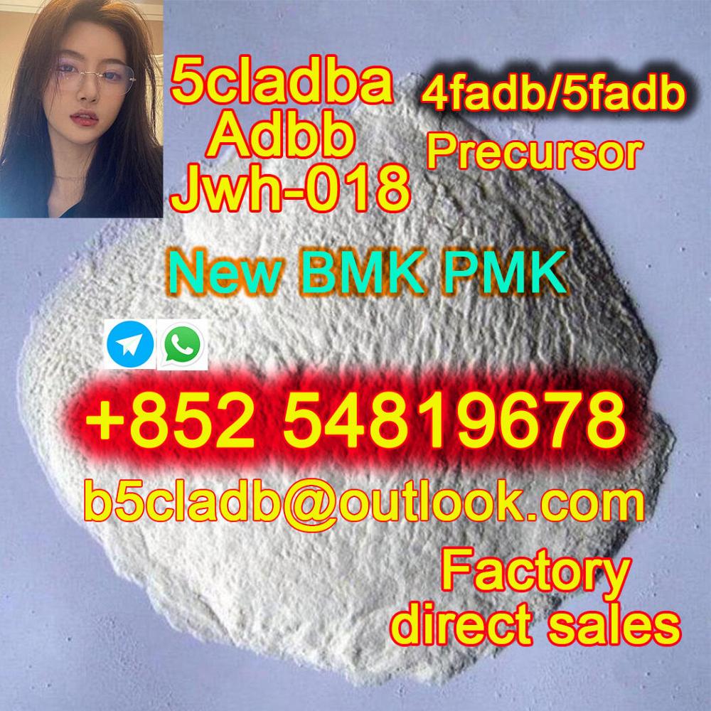 BMK powder cas 5449-12-7 /bmk powder or bmk oil , BMK Glycidic Acid powder and PMK methyl glycidate