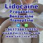 Lidocaine Tianeptine pregabalin raw Powder 137-58-6 Best Price