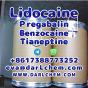 Lidocaine Tianeptine pregabalin raw Powder 137-58-6 Best Price