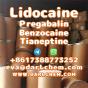 Lidocaine Tianeptine pregabalin raw Powder 137-58-6 Factory