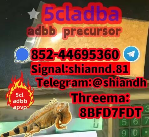 cas:2709672-58-0 5cladba yellow powder 5cl 5cl-adba 5CL-ADBA adbb
