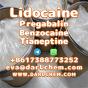 Lidocaine Tianeptine pregabalin raw Powder 137-58-6 darl Supply