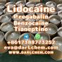 Lidocaine Tianeptine pregabalin raw Powder 137-58-6 darl Supply