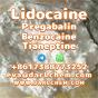 Lidocaine Tianeptine pregabalin raw Powder 137-58-6 Best Price