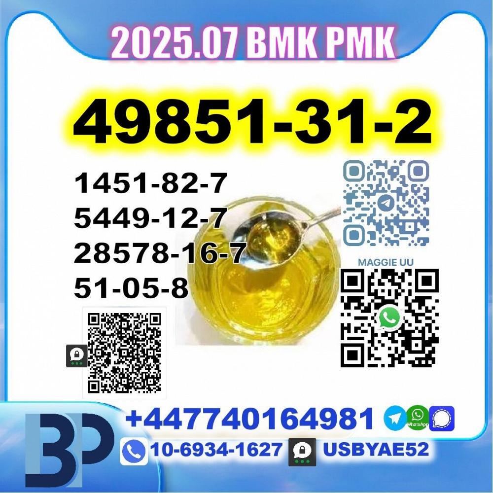 cas 49851-31-2 BMK PMK 5449-12-7,28578-16-7,1451-82-7,51-05-8