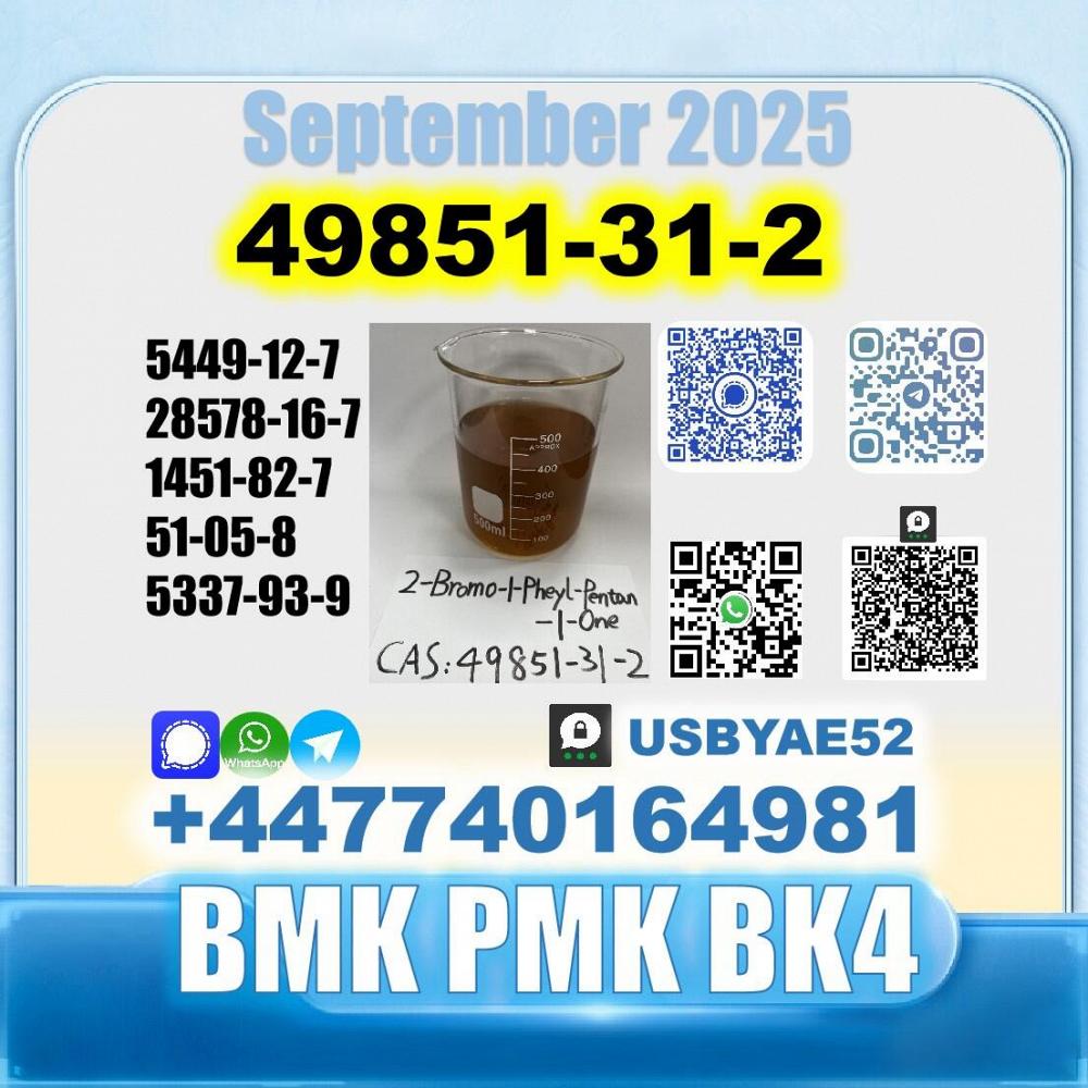 49851-31-2 BVF 2-Bromovalerophenone BMK PMK BK4 stale supply