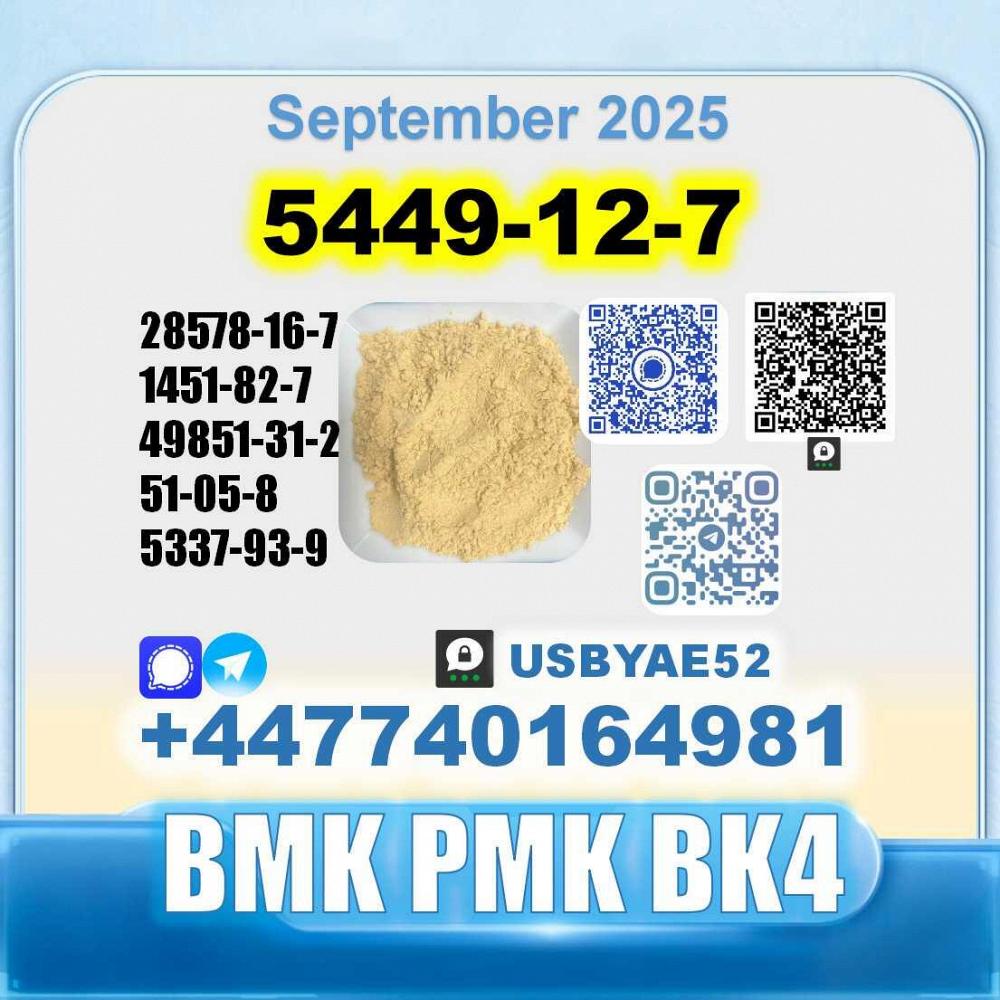 BMK glycidic acid 5449-12-7 PMK 28578-16-7 безопасная доставка с завода-изготовителя