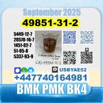49851-31-2 BVF 2-Bromovalerophenone BMK PMK BK4 stale supply