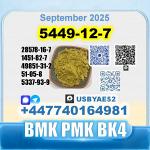 BMK glycidic acid 5449-12-7 PMK 28578-16-7 Source factory