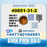 49851-31-2 (2-Bromovalerophenone) BMK PMK BK4 BVF bulk supply
