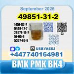 49851-31-2 BVF 2-Bromovalerophenone безопасная доставка с завода-изготовителя