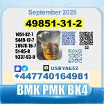49851-31-2 2-Bromo-1-Phenyl-Pentan-1-One 2b4m безопасная доставка с завода-изготовителя