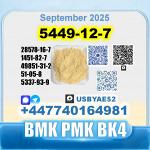 BMK glycidic acid 5449-12-7 PMK 28578-16-7 безопасная доставка с завода-изготовителя