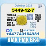 5449-12-7 BMK PMK bk4 1451-82-7 factory stable supply - Раздел: Медицинские товары, фармацевтическая продукция