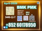 New BMK 5449-12-7,20320-59-6,97786-86-2,80532-66-7,10250-27-8,14176-50-2, 718-08-1