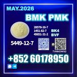 New BMK 5449-12-7,20320-59-6,97786-86-2,80532-66-7,10250-27-8,14176-50-2, 718-08-1