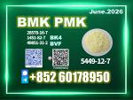 5449-12-7 BMK PMK bk4 1451-82-7 factory stable supply