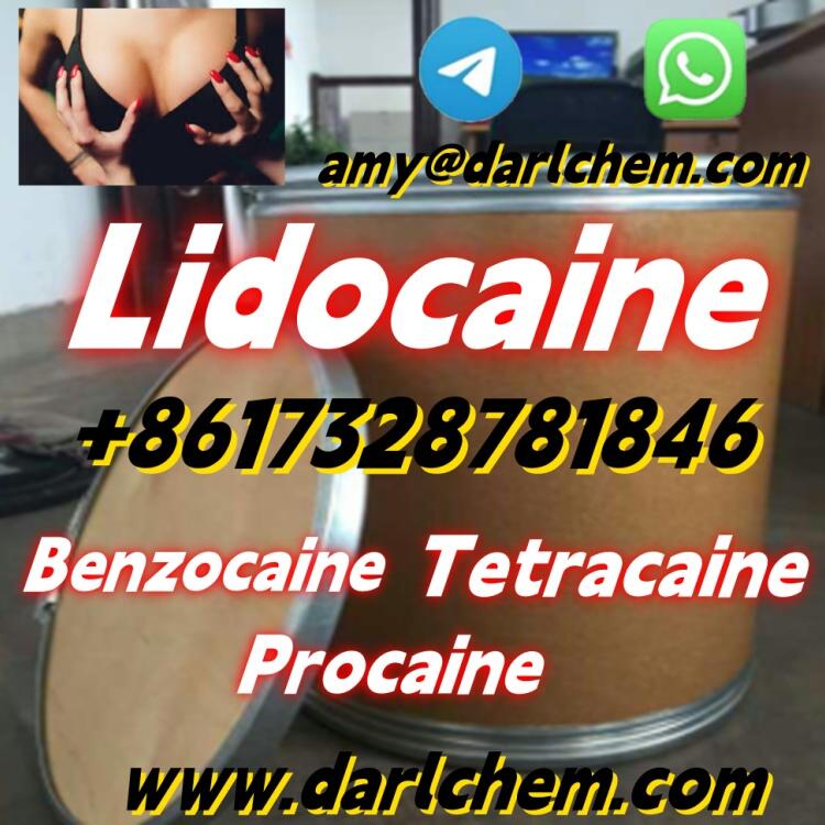 Factory Supply 99.9% Pure Lidocaine powder CAS 6108-05-0 Lidocaine powder Hydrochloride