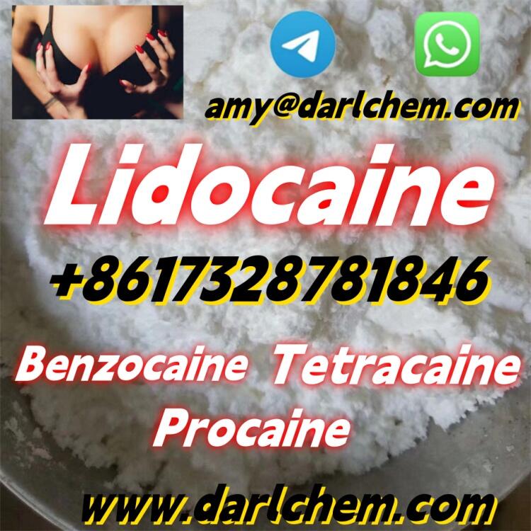 Lidocaine Benzocaine Procaine raw Powder 137-58-6 Low price