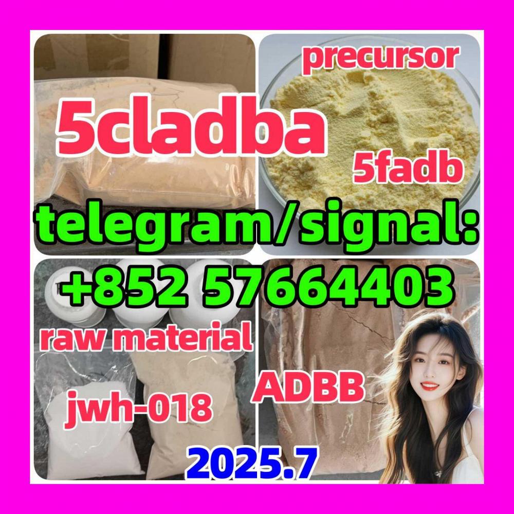 Yellow powder cannabinoid 5cl-adb-a 5CL-ADB-A 5cladba By Chemical supplier,