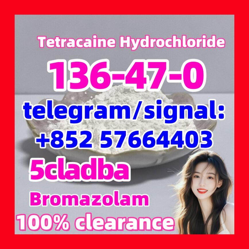 136-47-0 Tetracaine Hydrochloride