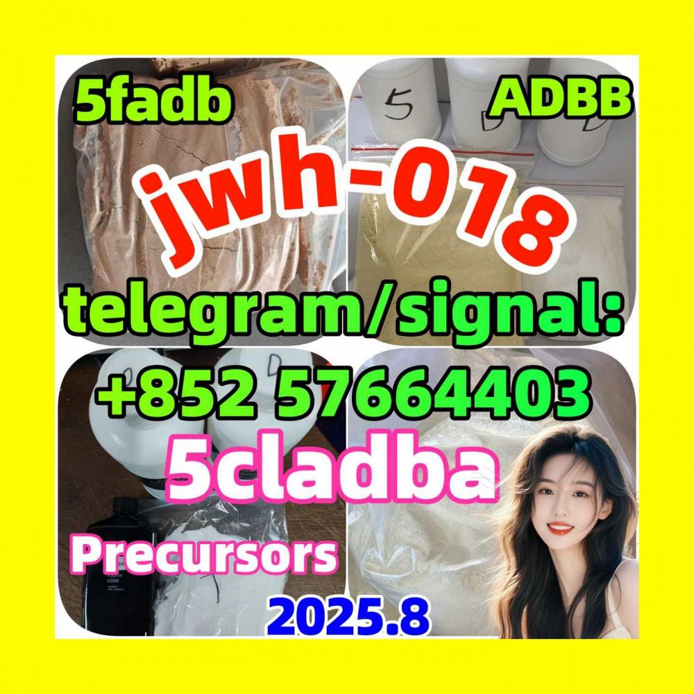 Raw materials 5CL-ADB supplier 5cladba 5cladb vendor in stock