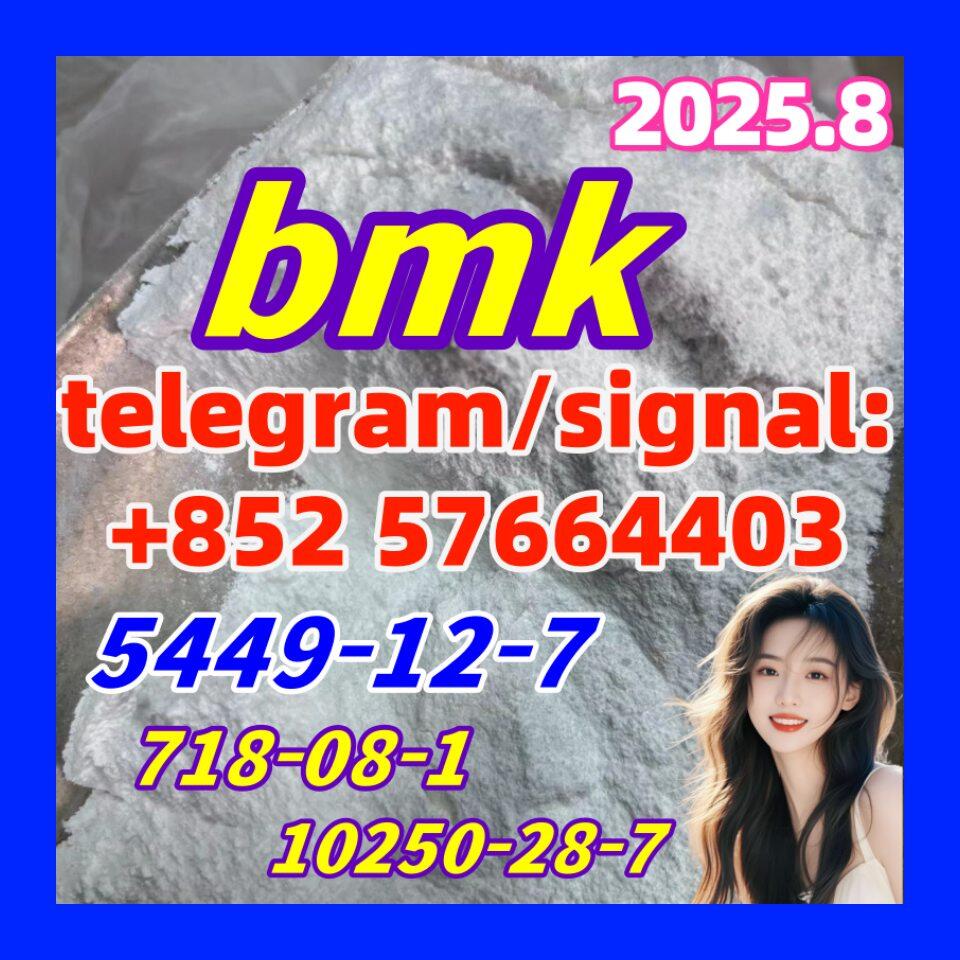 BMK Glycidic Acid (sodium salt) White Powder 99% CAS 5449 -12-7