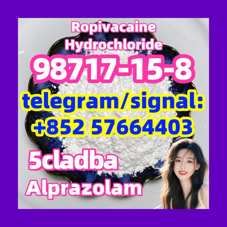 98717-15-8 Ropivacaine Hydrochloride