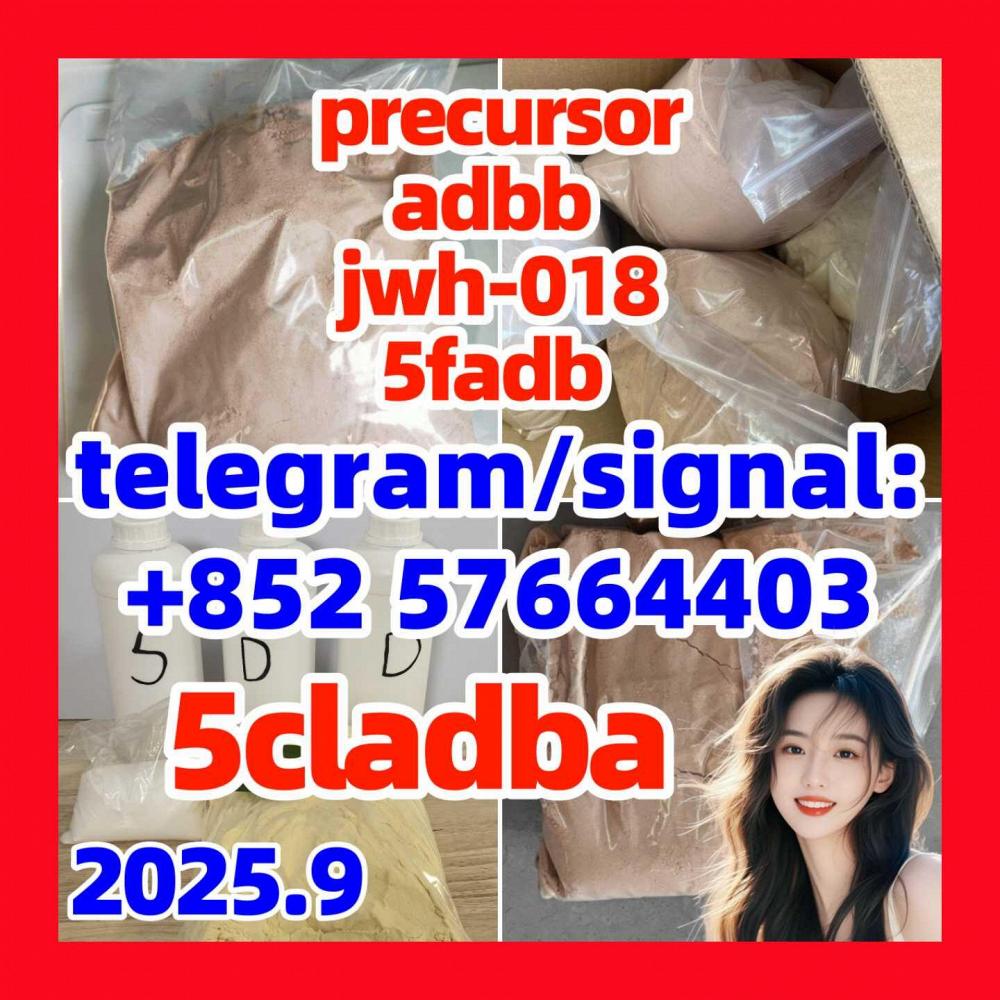 5cladba,5CLADBA,5cl,5ck-adb-a, Powder,high Quality,99% for Sale