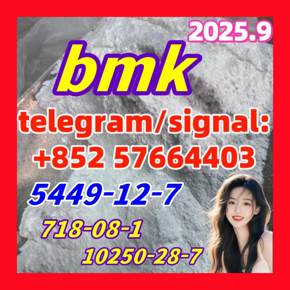 New BMK 5449-12-7 Powder glycerin acid 718-08-1 5cladba