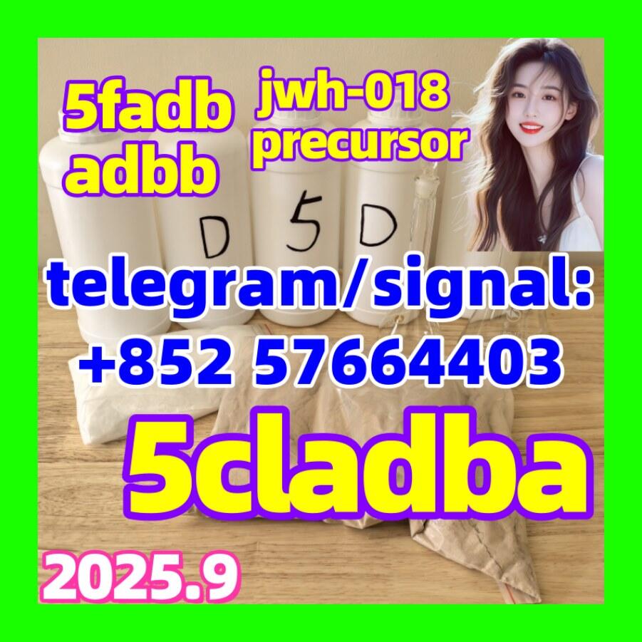 5cl-adb 5cladba 5cladb 5cl-adb-a adbb 5fadb Quick home delivery